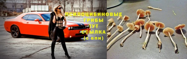 гидропоника Алзамай
