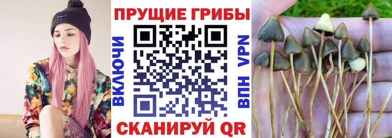 Псилоцибиновые грибы мицелий Новая Ляля