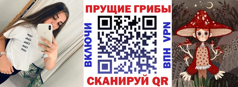 магазин продажи   Новая Ляля  мега маркетплейс  Псилоцибиновые грибы прущие грибы 